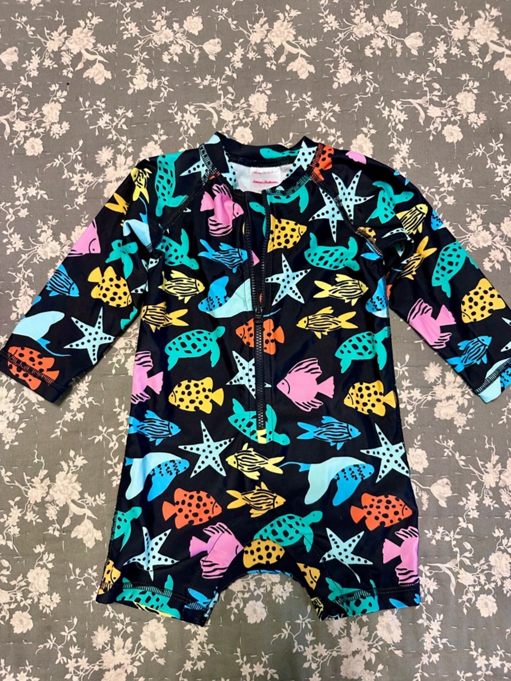 Kids Rash Guard Swimsuit with Multicolor Sea Life Print